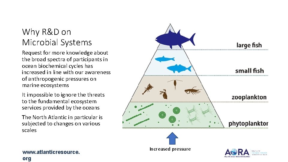 Why R&D on Microbial Systems Request for more knowledge about the broad spectra of