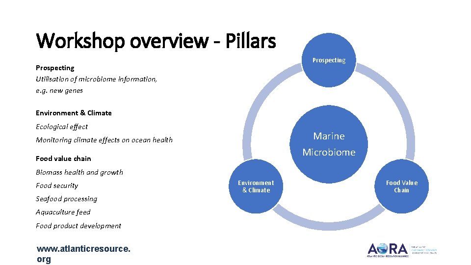 Workshop overview - Pillars Prospecting Utilisation of microbiome information, e. g. new genes Environment