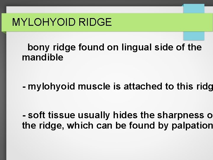 MYLOHYOID RIDGE bony ridge found on lingual side of the mandible - mylohyoid muscle