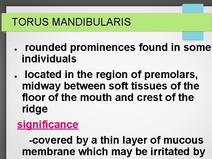 TORUS MANDIBULARIS rounded prominences found in some individuals ● located in the region of