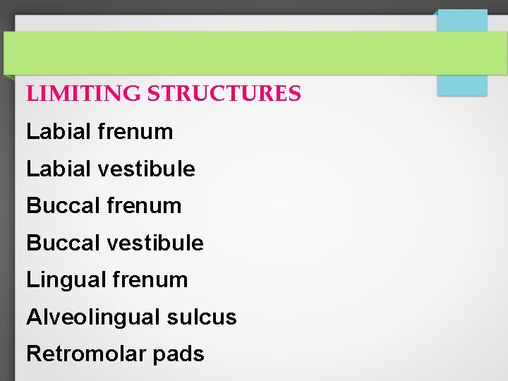 LIMITING STRUCTURES Labial frenum Labial vestibule Buccal frenum Buccal vestibule Lingual frenum Alveolingual sulcus