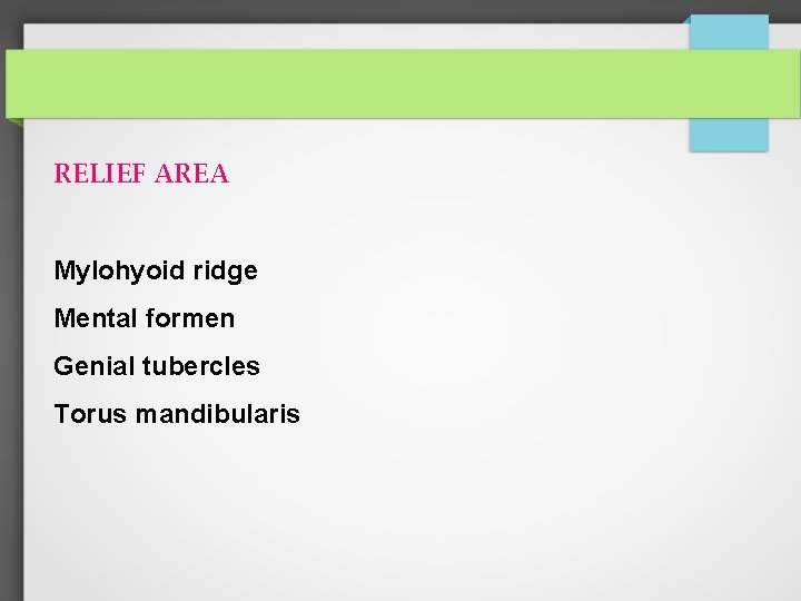 RELIEF AREA Mylohyoid ridge Mental formen Genial tubercles Torus mandibularis 