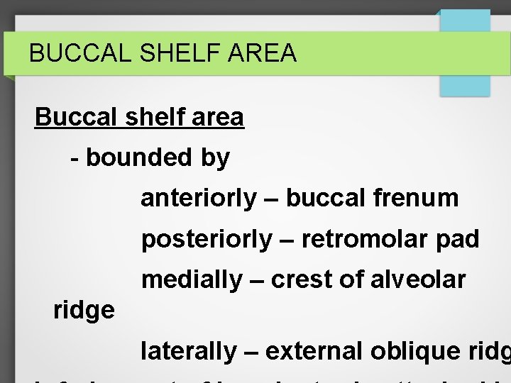 BUCCAL SHELF AREA Buccal shelf area - bounded by anteriorly – buccal frenum posteriorly