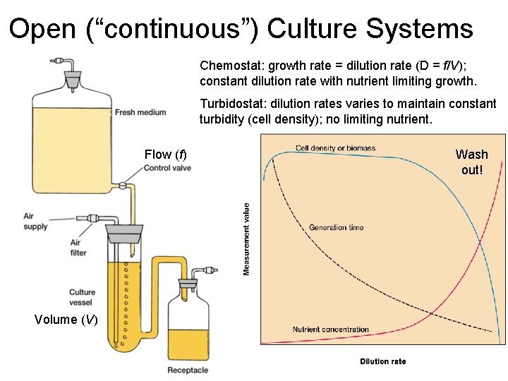 Open (“continuous”) Culture Systems Chemostat: growth rate = dilution rate (D = f/V); constant