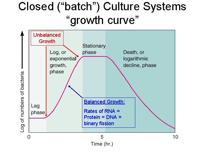 Closed (“batch”) Culture Systems “growth curve” Unbalanced Growth Balanced Growth: Rates of RNA =