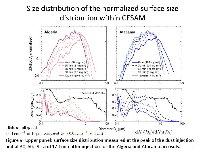 Size distribution of the normalized surface size distribution within CESAM Rate of fall speed: