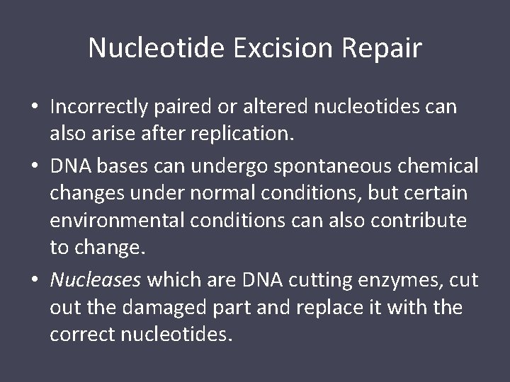 Nucleotide Excision Repair • Incorrectly paired or altered nucleotides can also arise after replication.