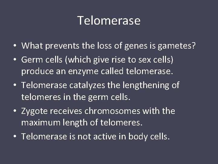 Telomerase • What prevents the loss of genes is gametes? • Germ cells (which