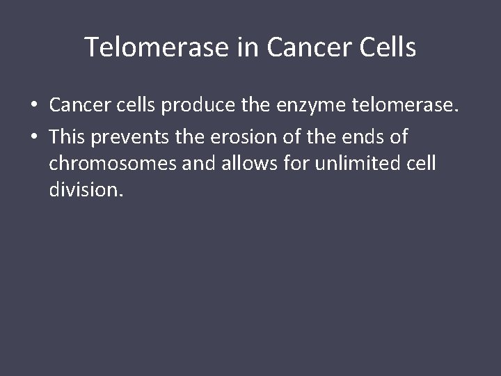 Telomerase in Cancer Cells • Cancer cells produce the enzyme telomerase. • This prevents