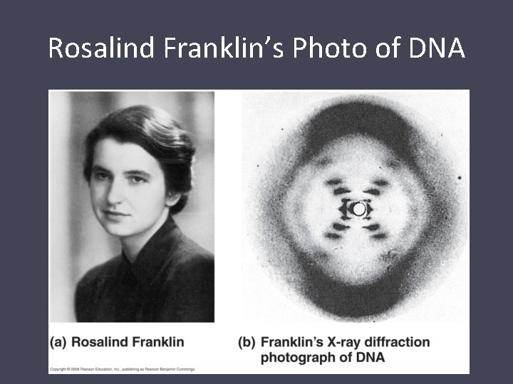 Rosalind Franklin’s Photo of DNA 