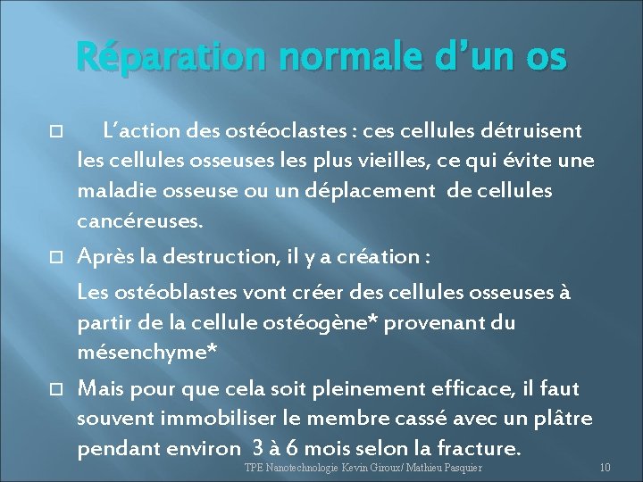 Réparation normale d’un os L’action des ostéoclastes : ces cellules détruisent les cellules osseuses