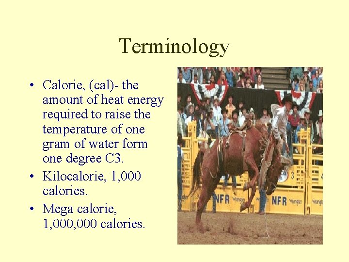 Terminology • Calorie, (cal)- the amount of heat energy required to raise the temperature