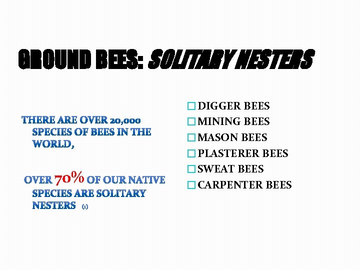 GROUND BEES: SOLITARY NESTERS 70% �DIGGER BEES �MINING BEES �MASON BEES �PLASTERER BEES �SWEAT