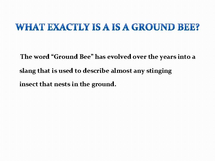  The word “Ground Bee” has evolved over the years into a slang that