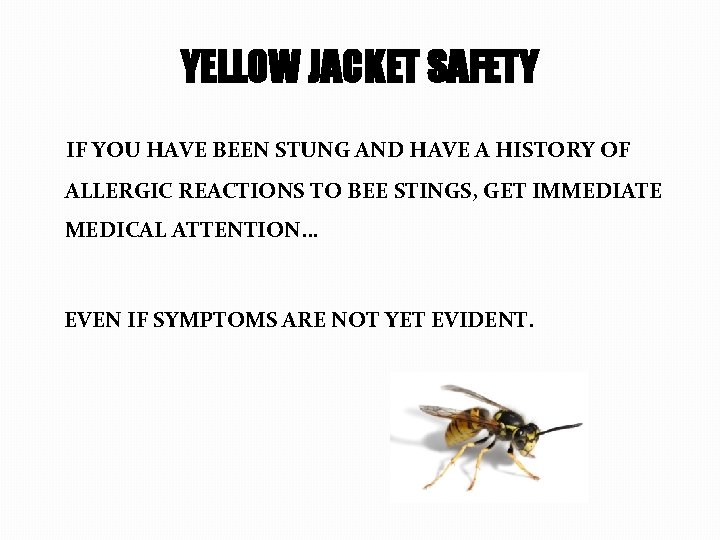 YELLOW JACKET SAFETY IF YOU HAVE BEEN STUNG AND HAVE A HISTORY OF ALLERGIC