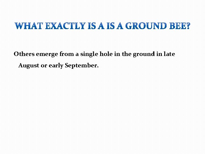  Others emerge from a single hole in the ground in late August or