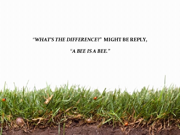 “WHAT’S THE DIFFERENCE? ” MIGHT BE REPLY, “A BEE IS A BEE. ” 
