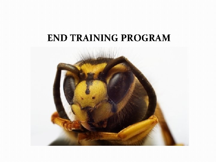 END TRAINING PROGRAM 