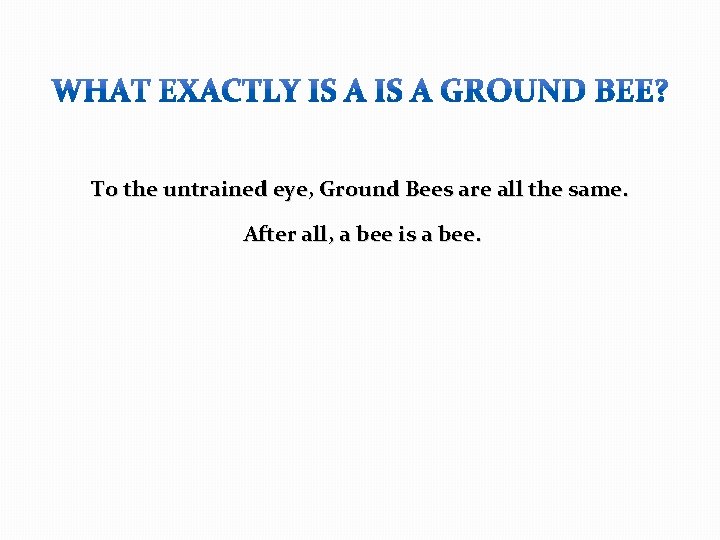 To the untrained eye, Ground Bees are all the same. After all, a bee