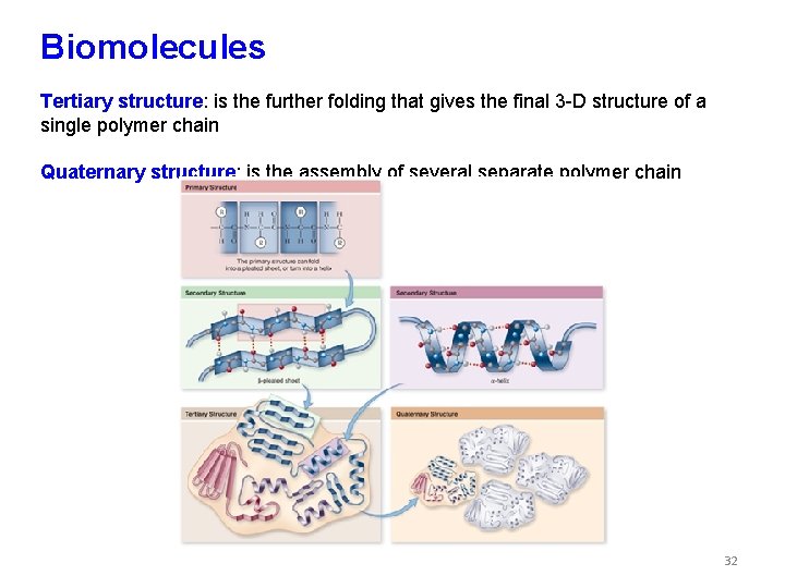 Biomolecules Tertiary structure: is the further folding that gives the final 3 -D structure