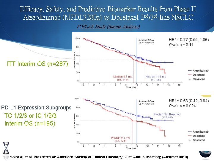 Efficacy, Safety, and Predictive Biomarker Results from Phase II Atezolizumab (MPDL 3280 a) vs