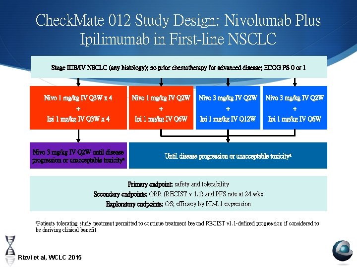 Check. Mate 012 Study Design: Nivolumab Plus Ipilimumab in First-line NSCLC Stage IIIB/IV NSCLC