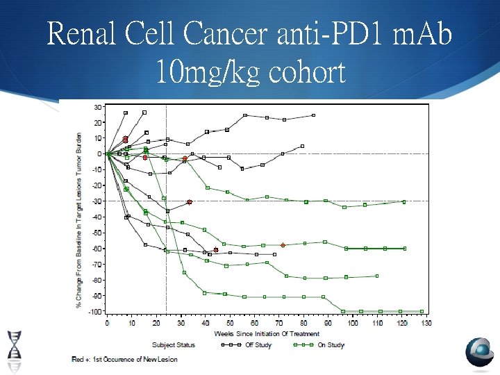 Renal Cell Cancer anti-PD 1 m. Ab 10 mg/kg cohort 11/5/2020 51 