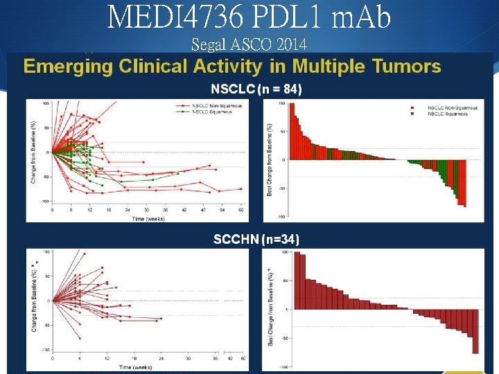 MEDI 4736 PDL 1 m. Ab Segal ASCO 2014 11/5/2020 54 