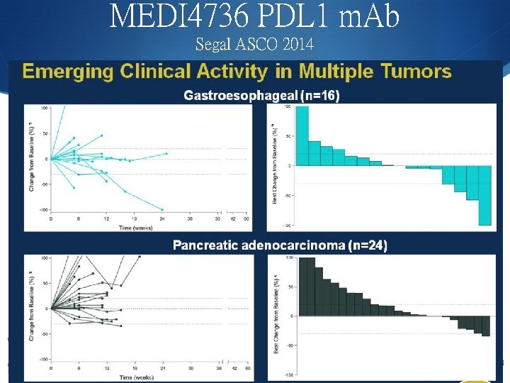 MEDI 4736 PDL 1 m. Ab Segal ASCO 2014 11/5/2020 55 