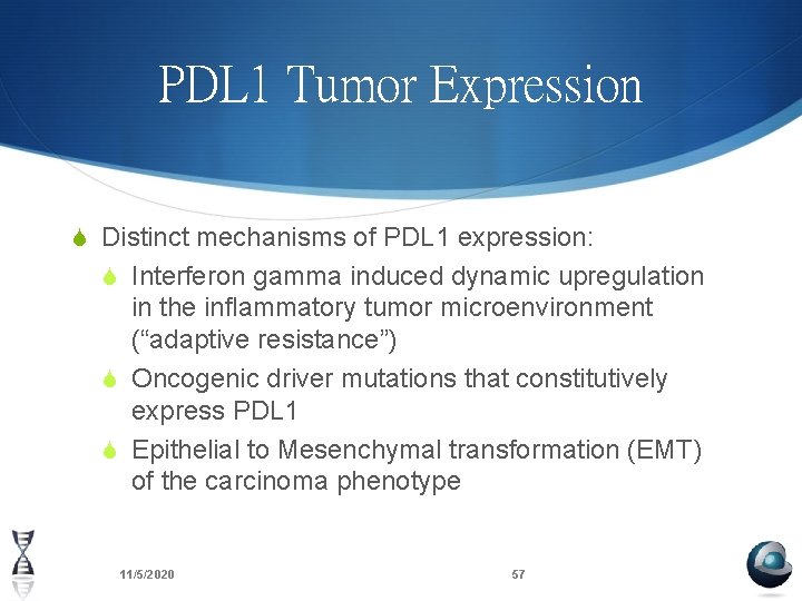 PDL 1 Tumor Expression S Distinct mechanisms of PDL 1 expression: S Interferon gamma