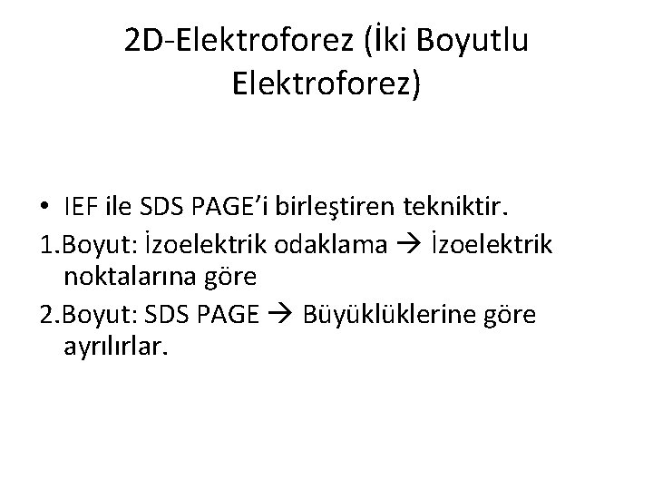 2 D-Elektroforez (İki Boyutlu Elektroforez) • IEF ile SDS PAGE’i birleştiren tekniktir. 1. Boyut:
