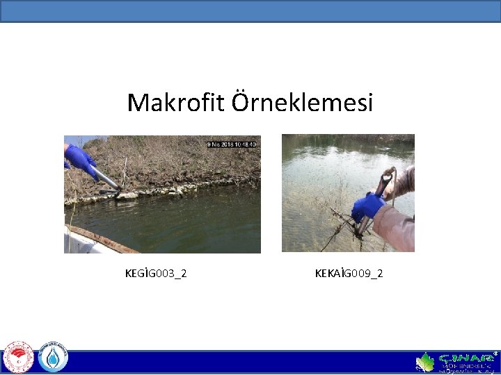 Makrofit Örneklemesi KEGİG 003_2 KEKAİG 009_2 