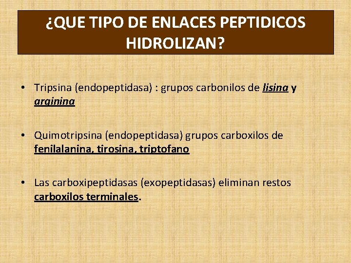 ¿QUE TIPO DE ENLACES PEPTIDICOS HIDROLIZAN? • Tripsina (endopeptidasa) : grupos carbonilos de lisina