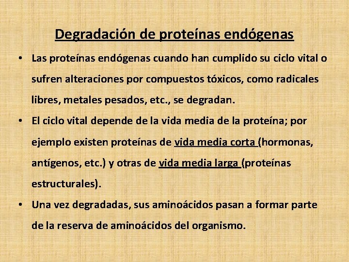 Degradación de proteínas endógenas • Las proteínas endógenas cuando han cumplido su ciclo vital