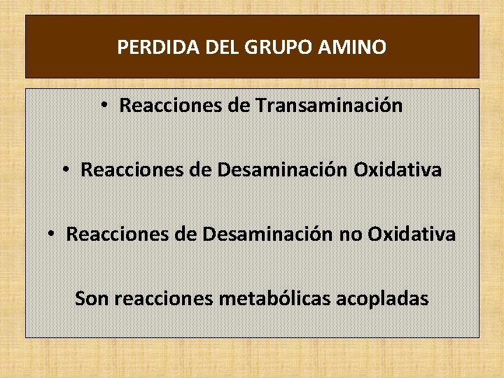 PERDIDA DEL GRUPO AMINO • Reacciones de Transaminación • Reacciones de Desaminación Oxidativa •