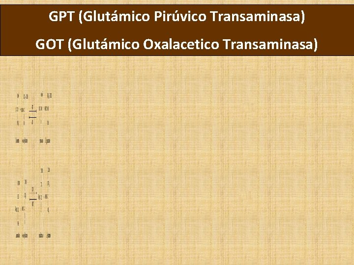 GPT (Glutámico Pirúvico Transaminasa) GOT (Glutámico Oxalacetico Transaminasa) 