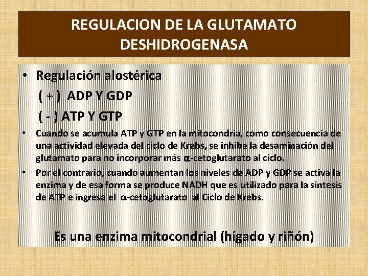 REGULACION DE LA GLUTAMATO DESHIDROGENASA • Regulación alostérica ( + ) ADP Y GDP