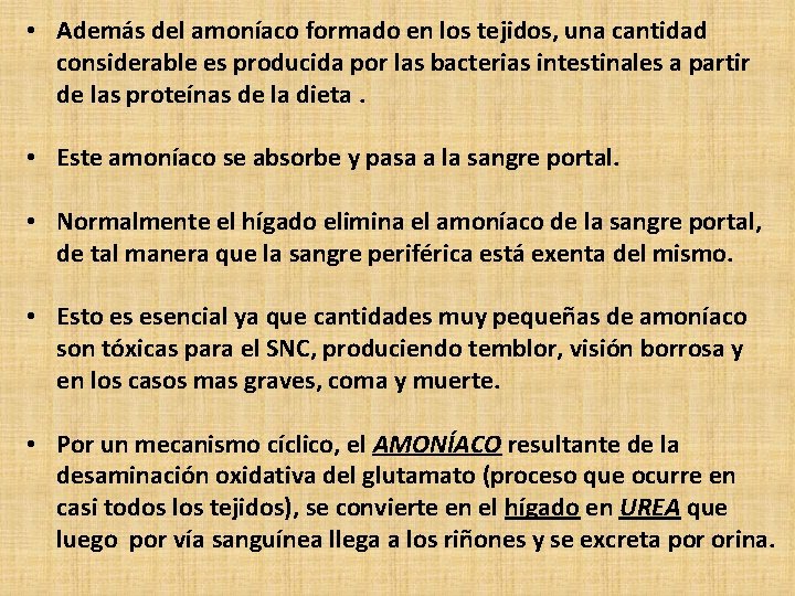  • Además del amoníaco formado en los tejidos, una cantidad considerable es producida