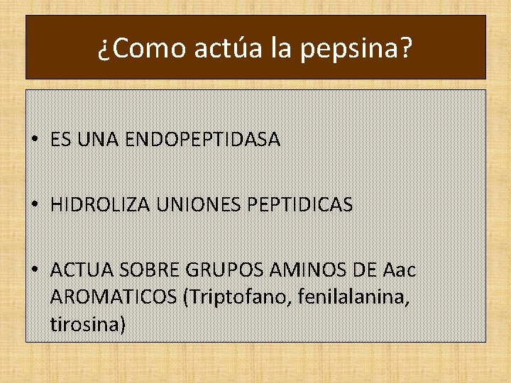 ¿Como actúa la pepsina? • ES UNA ENDOPEPTIDASA • HIDROLIZA UNIONES PEPTIDICAS • ACTUA