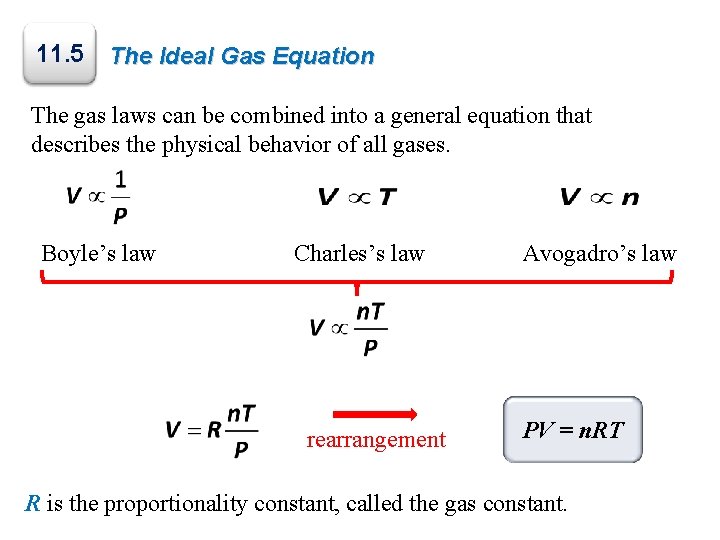 11. 5 The Ideal Gas Equation The gas laws can be combined into a