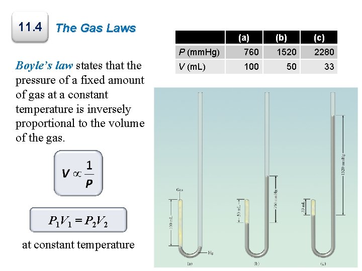 11. 4 The Gas Laws Boyle’s law states that the pressure of a fixed