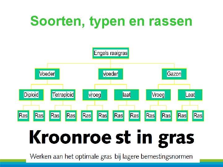 Soorten, typen en rassen 