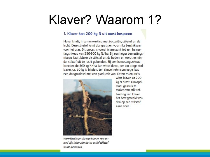 Klaver? Waarom 1? 