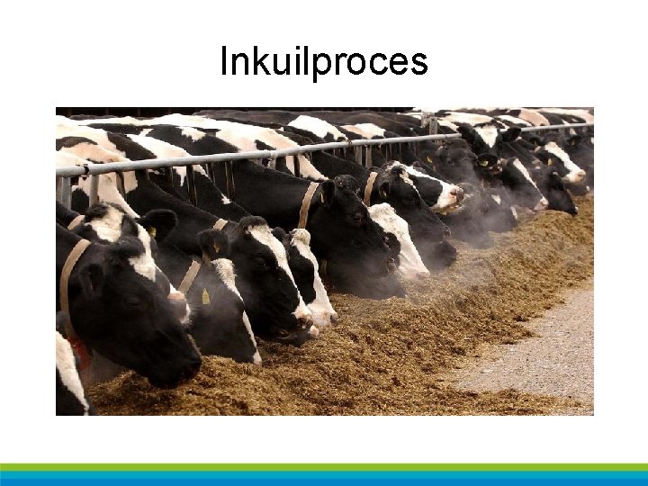 Inkuilproces 