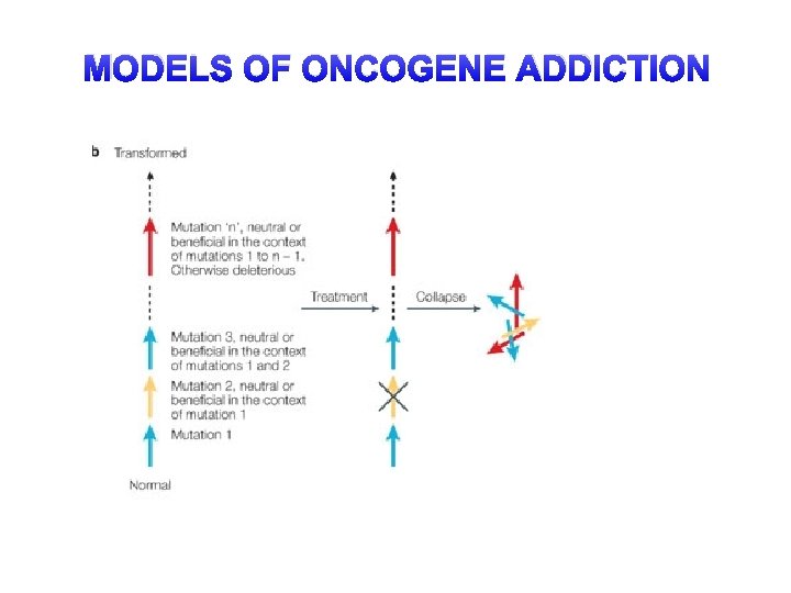 MODELS OF ONCOGENE ADDICTION 