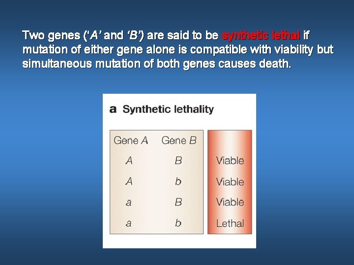Two genes (‘A’ and ‘B’) are said to be synthetic lethal if mutation of