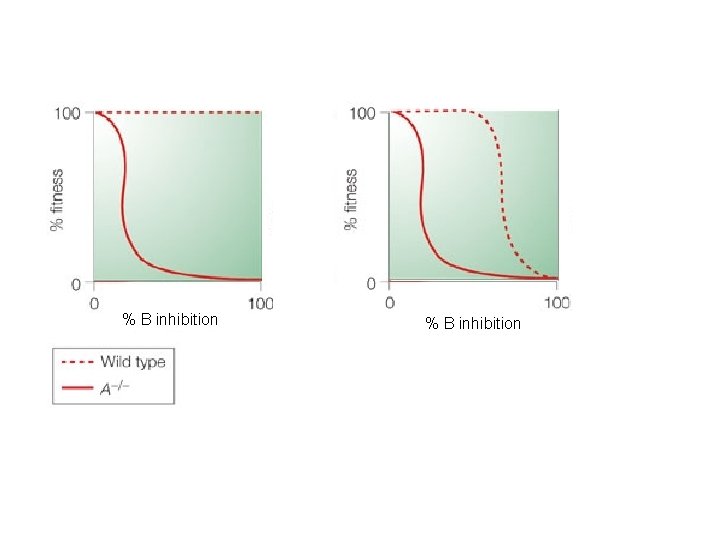% B inhibition 