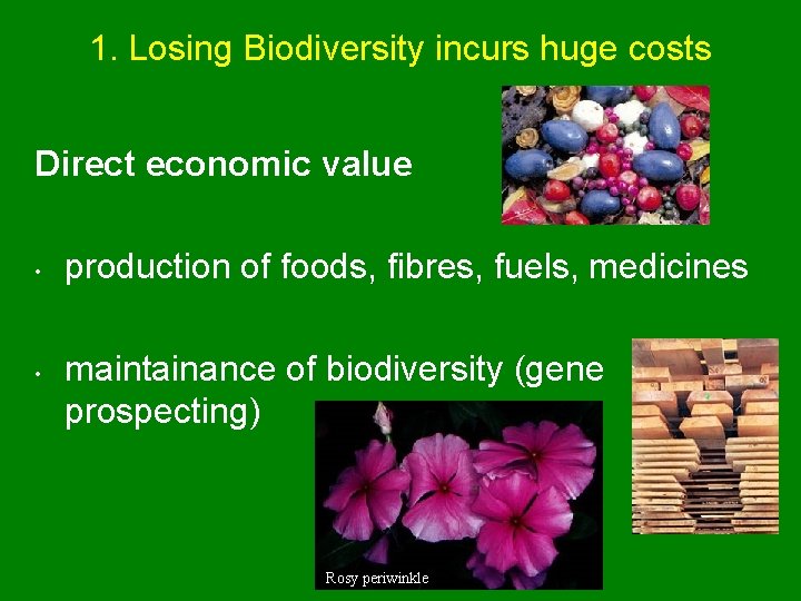 1. Losing Biodiversity incurs huge costs Direct economic value • • production of foods,