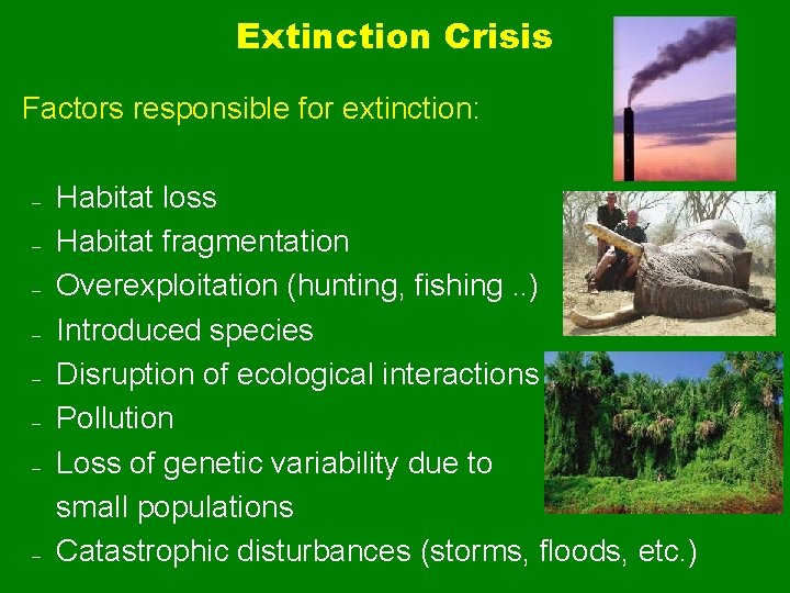 Extinction Crisis Factors responsible for extinction: – – – – Habitat loss Habitat fragmentation