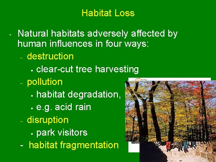 Habitat Loss • Natural habitats adversely affected by human influences in four ways: –